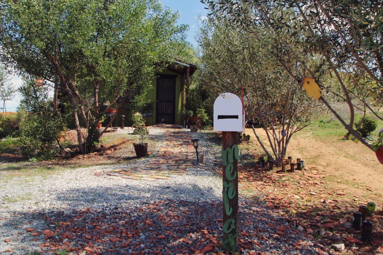 Posada San Antonio Valle de Guadalupe Exteriér fotografie